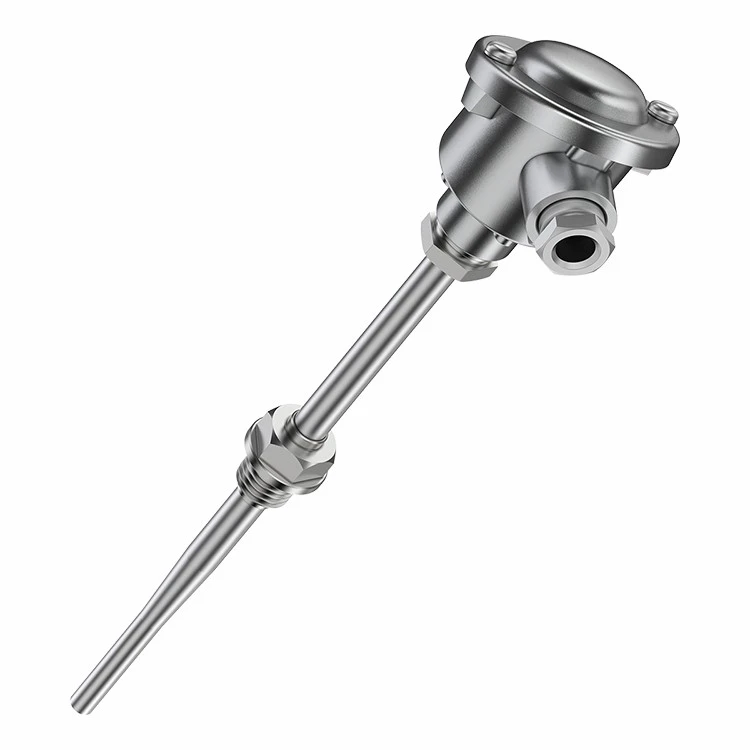 thermosensor probe~1